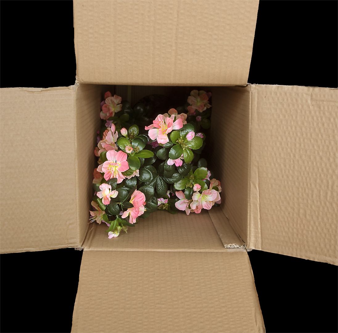 10.Floweres in a Box
