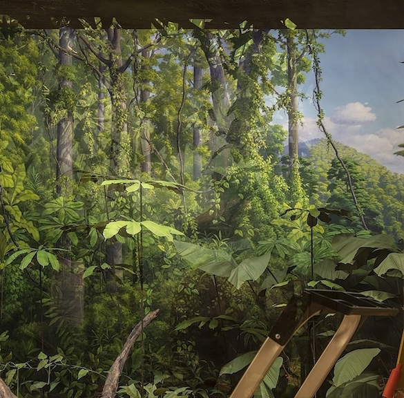 11 Landscape Reflects copy 2