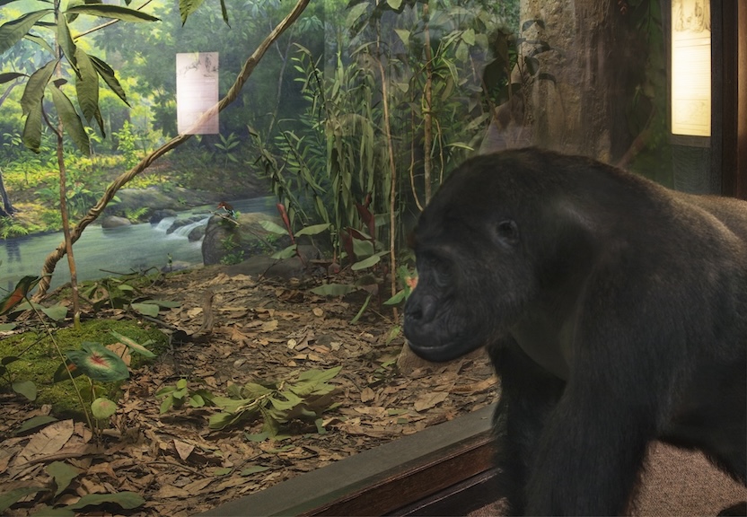 12 A Brief Outing copy 2