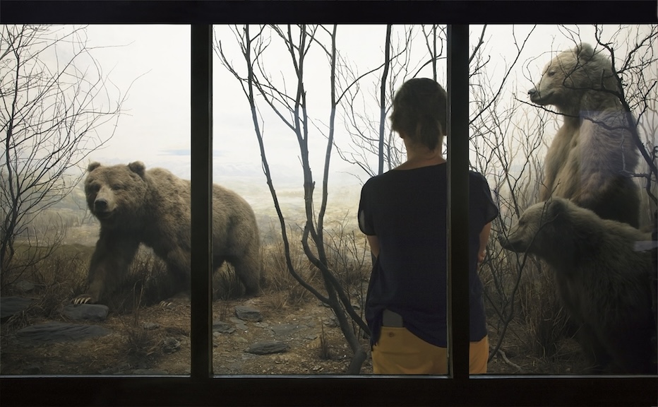 2 Julia and the Bears copy